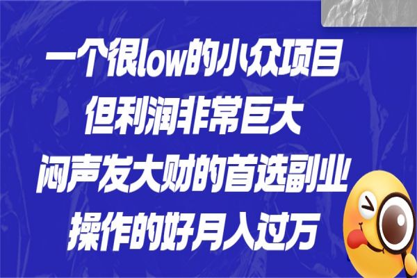 【287期】一个很low的小众项目，但利润非常巨大，闷声发大财的首选副业，操作的好月入过万