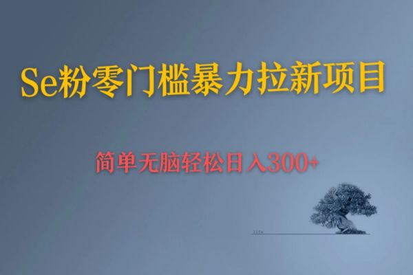 【294期】Se粉暴力拉新引流变现副业项目： 小白也可日入300+ 简单无脑上手