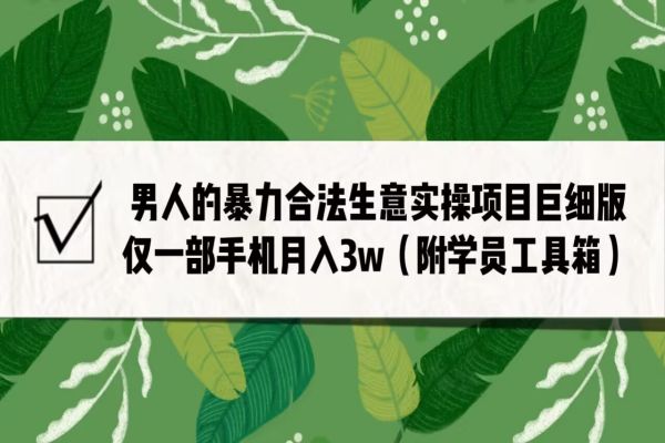 【313期】男人的暴力合法生意实操项目巨细版：仅一部手机月入3w（附赠学员工具箱）