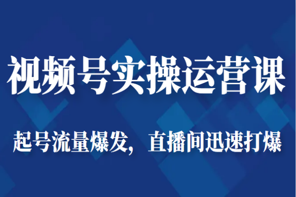 【310期】 视频号副业项目实操运营课-起号流量爆发，直播间迅速打爆（共29节课）