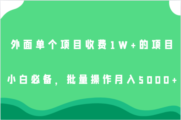 【538期】外面单个项目收费1W+的项目，小白必备，批量操作月入5000+