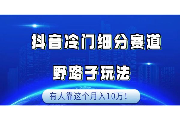 【556期】抖音冷门细分赛道野路子玩法，月入10万不是梦！