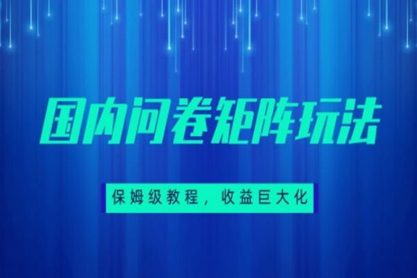 【571期】保姆级教程，国内问卷矩阵玩法，轻松赚收益