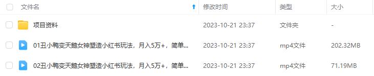 【695期】从丑小鸭到天鹅女神：小红书打造月入5万+的草根逆袭玩法 目录