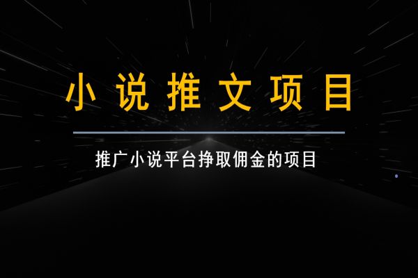 【773期】小说推文视频变现指南：从素材到收益一步到位，手把手教你快速生成一篇小说推文