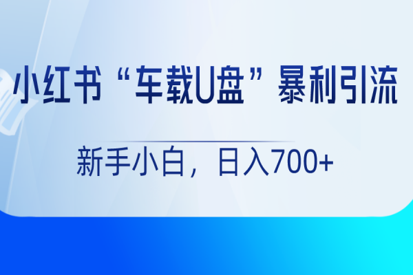 【940期】小红书“车载U盘”项目，暴利引流，新手小白轻松日入700+