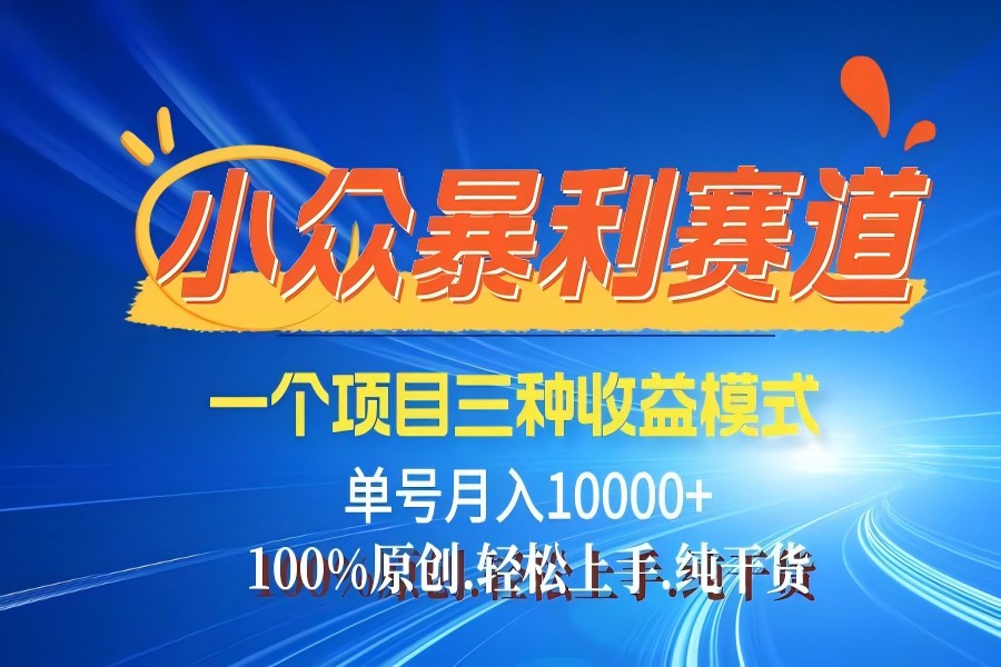 【990】【老人言】-视频号爆火赛道，三种变现方式，0粉新号调调爆款