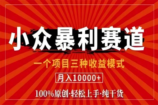 【1137】视频号最新爆火赛道，三种可收益模式，0粉新号条条原创条条热门 日入1000+