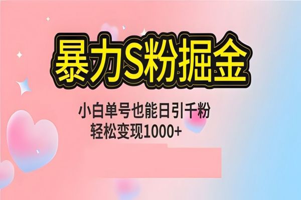 【1163】单人单机日引千粉，变现1000+，S粉流量掘金计划攻略