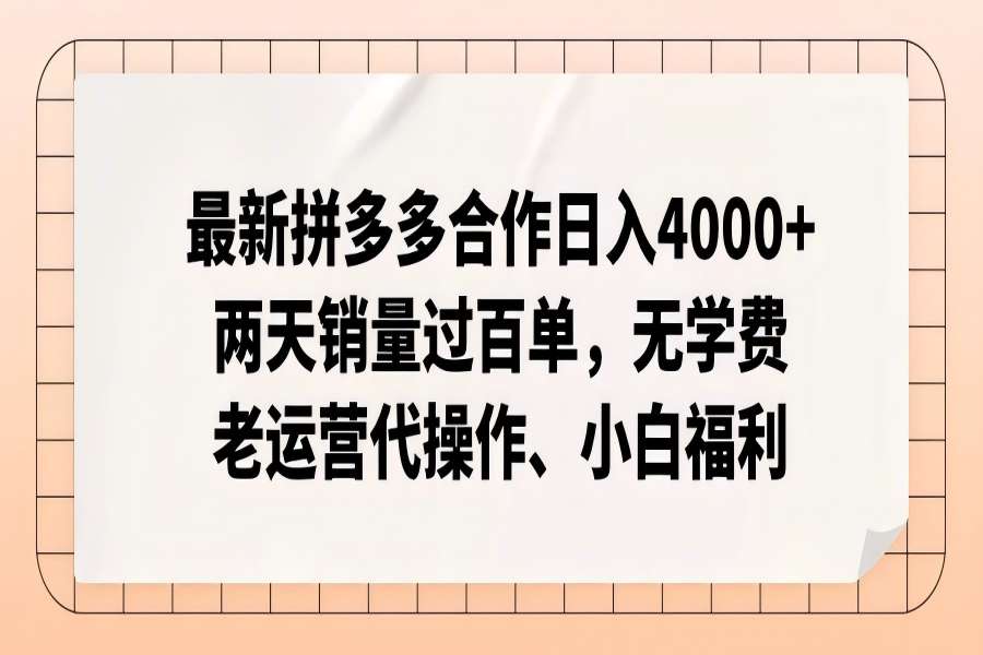 【1301】拼多多最新合作日入4000+两天销量过百单，无学费、老运营代操作、小白福利