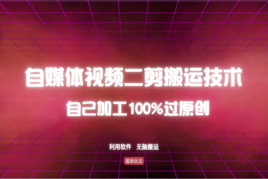 【1456】详细教你自媒体视频二剪搬运技术，自己加工100%过原创，无脑搬运