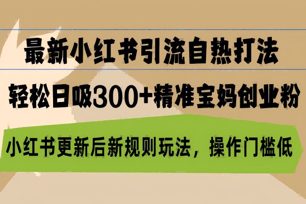 【1708】最新小红书引流自热打法，轻松日吸300+精准宝妈创业粉，小红书更新后新玩法