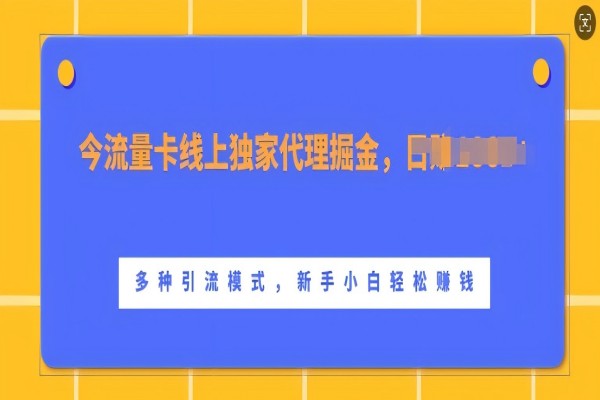 【1744】流量卡线上独家代理掘金，日入1k+ ，多种引流模式，新手小白轻松上手