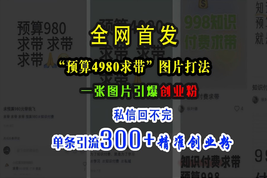 【1772】小红书“预算4980带我飞”图片打法，一张图片引爆创业粉，私信回不完，单条引流300+精准创业粉