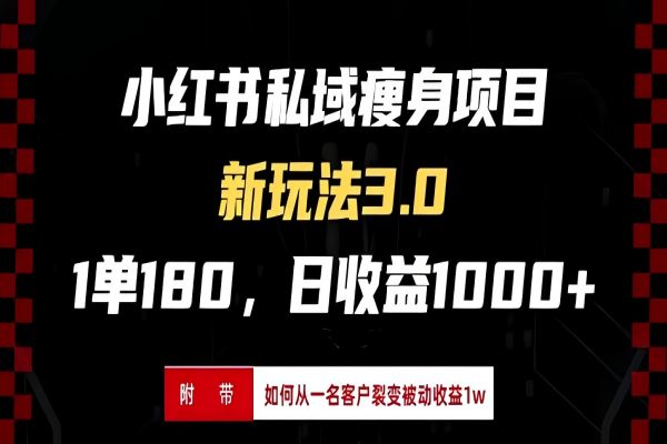 【1989】小红书瘦身项目3.0模式，新手小白日赚收益1000+