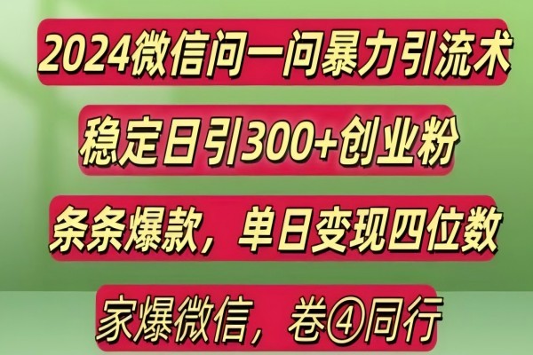 【2165】2024最新微信问一问暴力引流300+创业粉,条条爆款单日变现四位数