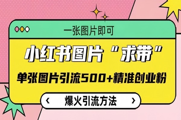 【2220】小红书图片‘求带’爆火引流法，单张图片引流500+精准创业粉