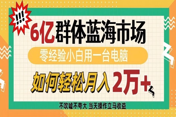 【2315】6亿群体蓝海市场，零经验小白用一台电脑，如何轻松月入过w